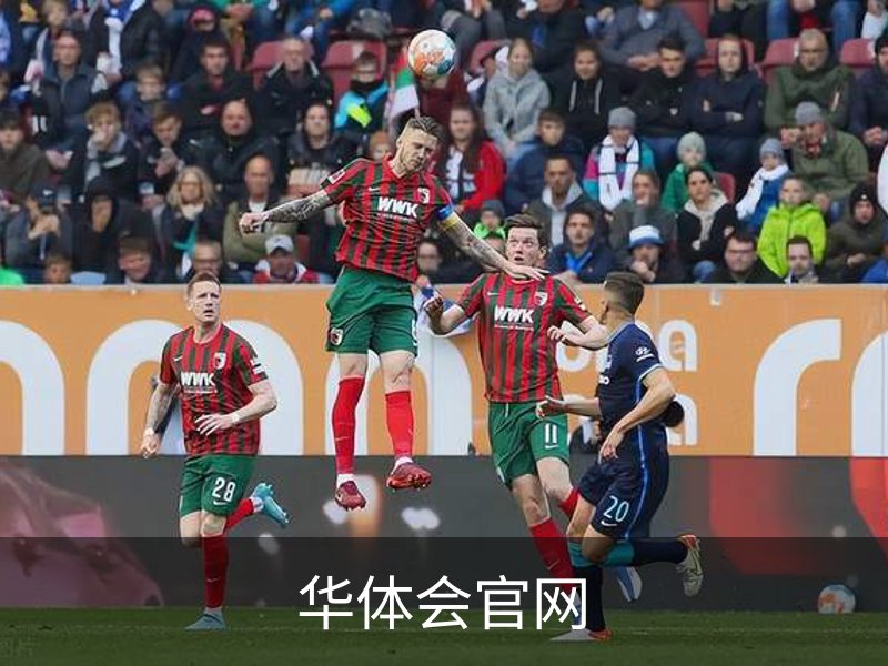 企业介绍